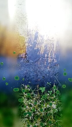 colors_ indaco c16h10n202 _rk2018 colors_ indaco c16h10n202 _rk2018